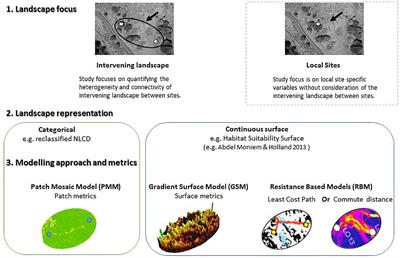 Alternative Quantifications of Landscape Complementation to Model Gene Flow in Banded Longhorn Beetles [Typocerus v. velutinus (Olivier)]